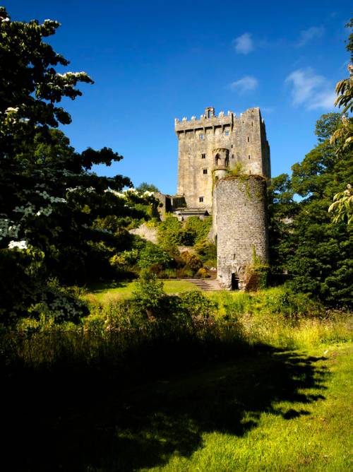 blarney castle tour from cork including cobh