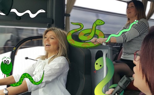 Who really drove the snakes out of Ireland?