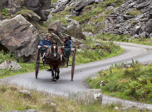 Jaunting Car Killarney