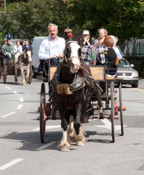 Killarney Jaunting Cars