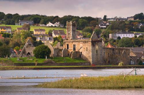 Timoleague Abbey Cork