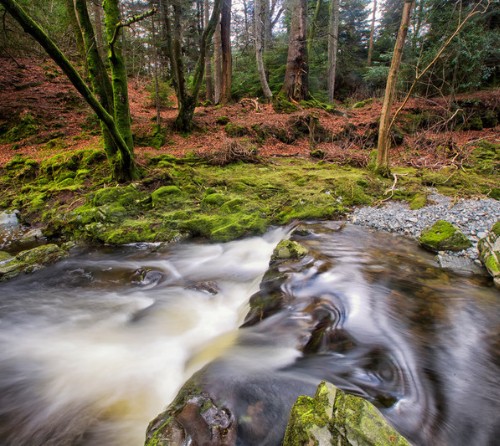  Tollymore Forest 